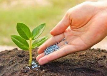 توزیع ۲۵ هزار تن کود یارانه‌ای در اصفهان طی نیمه نخست ۱۴۰۴