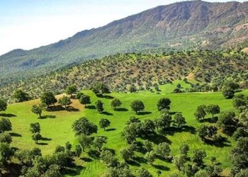 برنامه‌ریزی دقیق و هماهنگی میان دستگاه‌ها جهت استفاده از ظرفیت ها