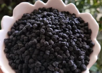 نخود سیاه چیست؟