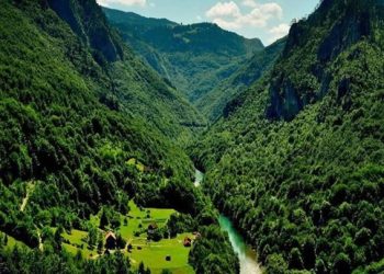 اجرای جنگلداری نوین در چارچوب برنامه هفتم با تمرکز بر حفاظت، فناوری و مدیریت پایدار جنگل‌ها