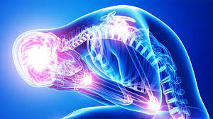 تاثیر استرس بر بدن انسان و نقش مواد غذایی